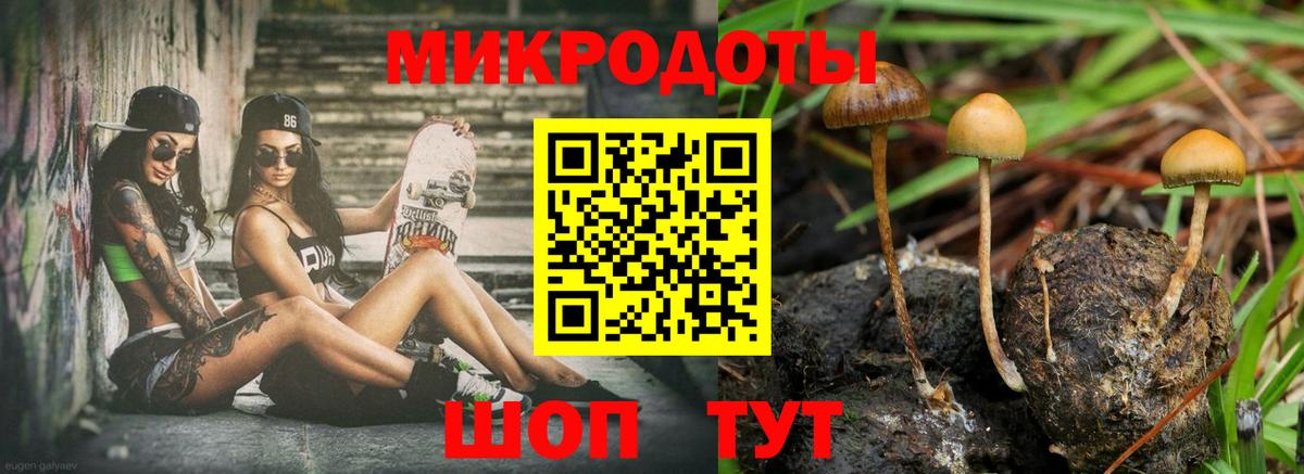 Галлюциногенные грибы MAGIC MUSHROOMS Ульяновск