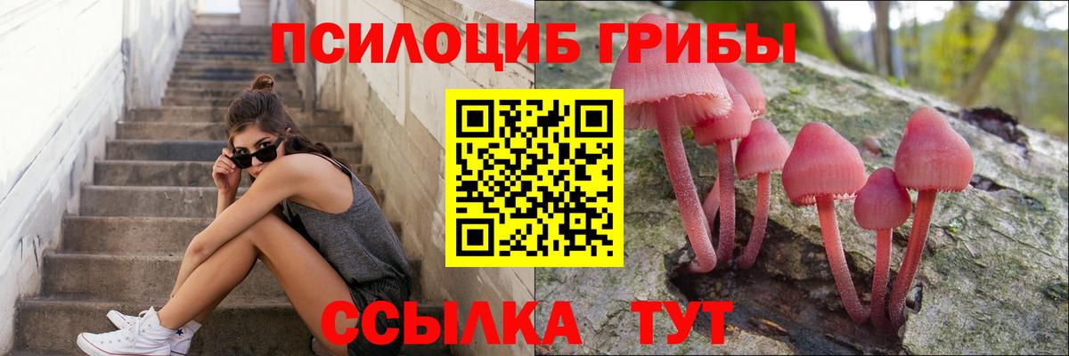 купить  сайты  Вход с VPN  Псилоцибиновые грибы мухоморы  Ульяновск  Галлюциногенные грибы Psilocybe 